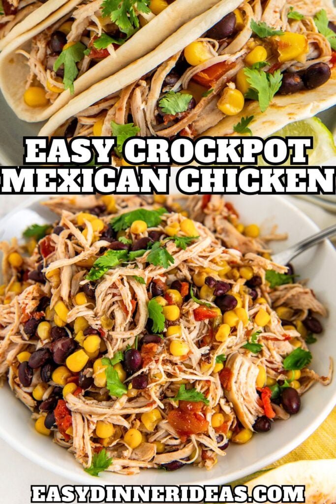 Crockpot shredded Mexican chicken in a large serving bowl with cilantro on top and served in flour tortillas for Mexican chicken tacos.