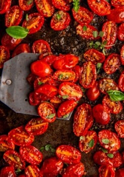 Juicy oven roasted cherry tomatoes with garlic and fresh herbs on top on a sheet pan with a spatula scooping up some of the juicy tomatoes.