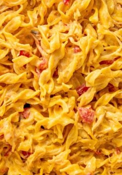 Close up image of cheesy chicken rotel pasta.