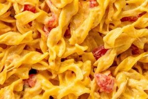 Close up image of cheesy chicken rotel pasta.