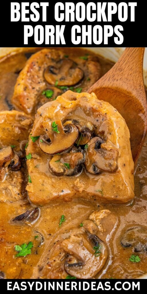 A single pork chop with gravy being lifted from the crockpot.