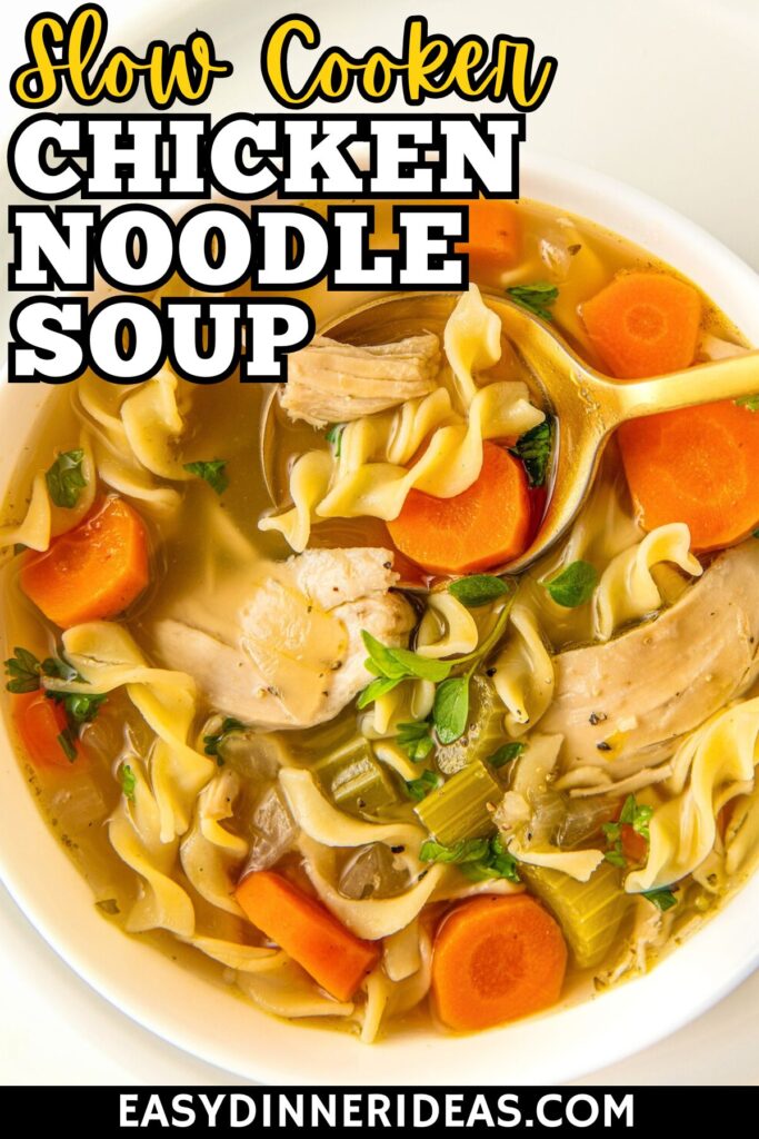 Homemade chicken noodle soup in a bowl.