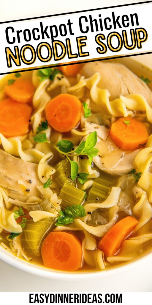 Close up of chicken noodle soup with veggies and egg noodles.