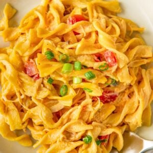 Easy cheesy rotel chicken pasta on a white plate.