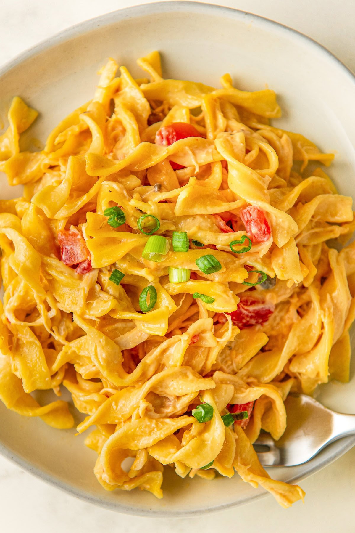 Creamy and cheesy rotel chicken pasta on a white plate with green onions on top.