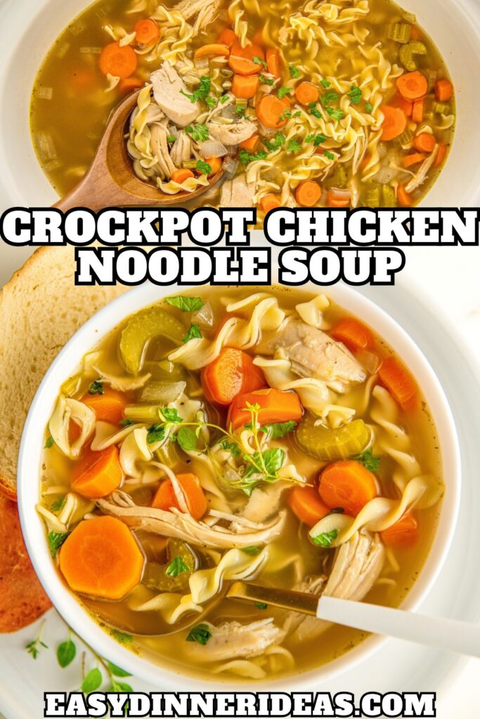 A bowl of homestyle chicken noodle soup next to a crock pot.