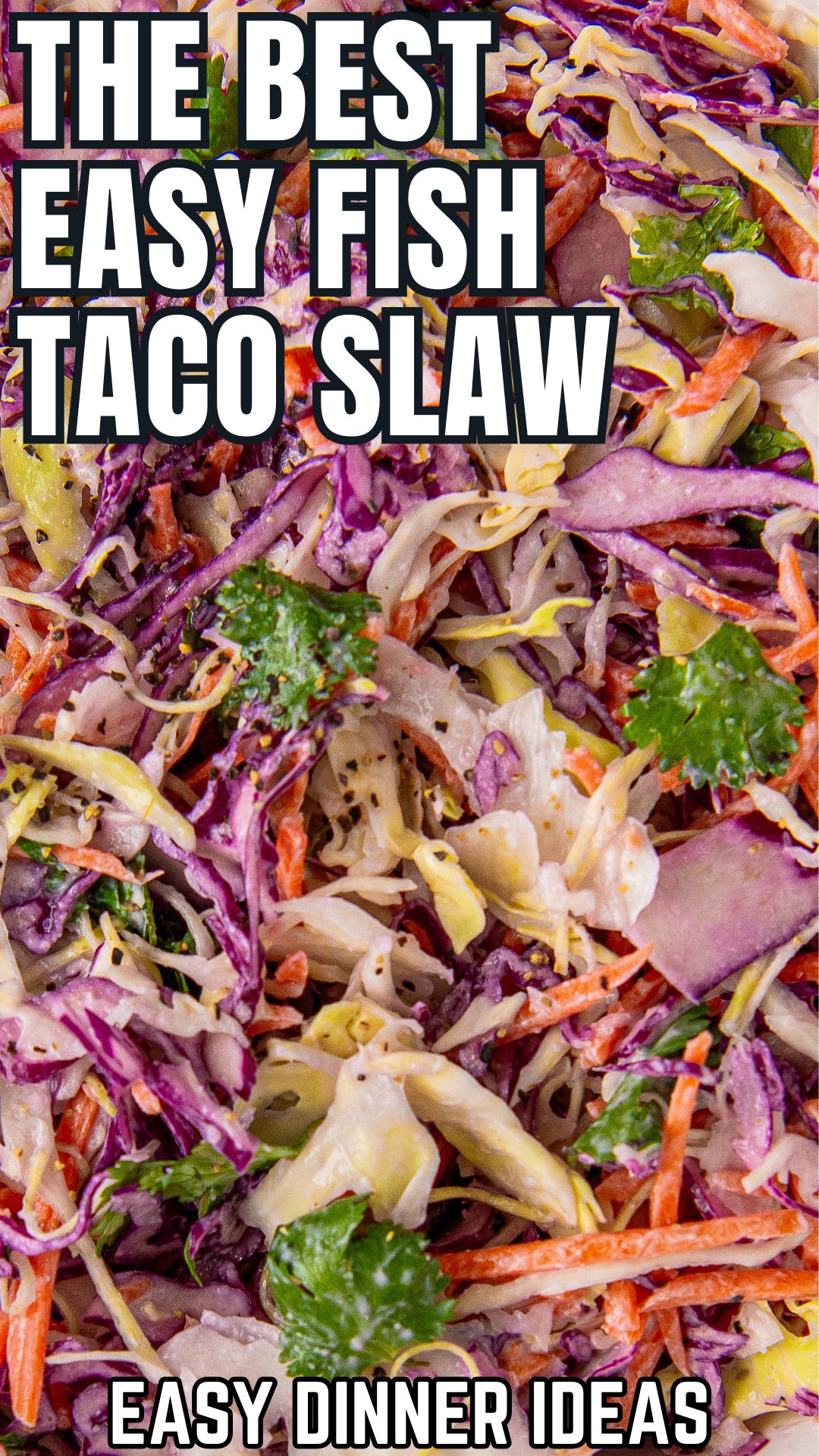 Quick & Easy Fish Taco Slaw Recipe | Easy Dinner Ideas