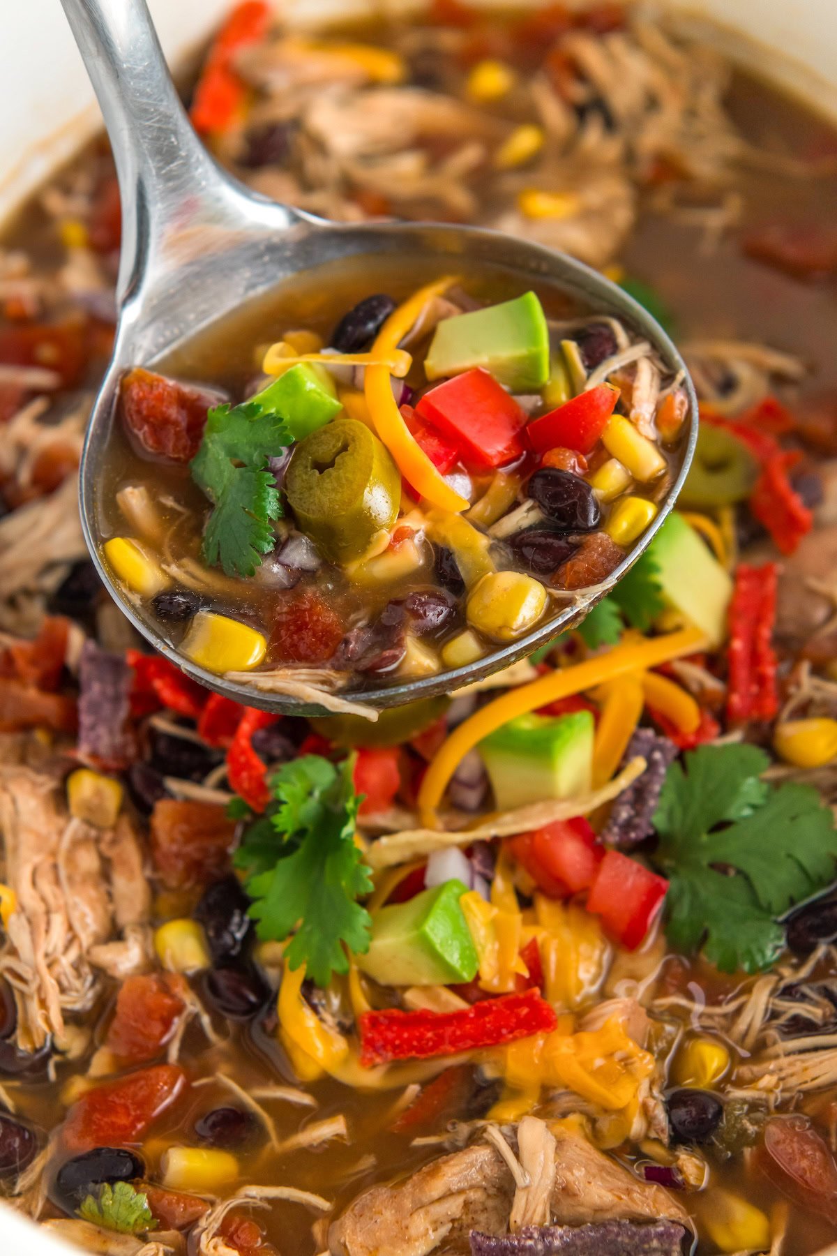 A ladle is lifting a portion of crock pot chicken tortilla soup from the slow cooker.