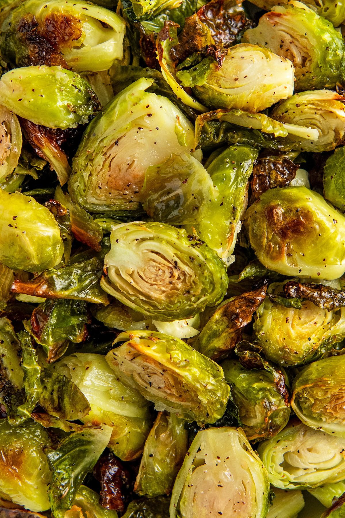 Tender oven roasted brussels sprouts are lightly browned from the oven.