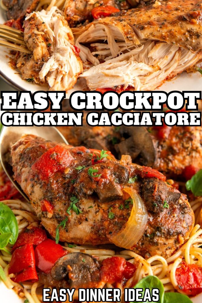 Tender cooked chicken served with mushrooms, tomatoes, and pasta.