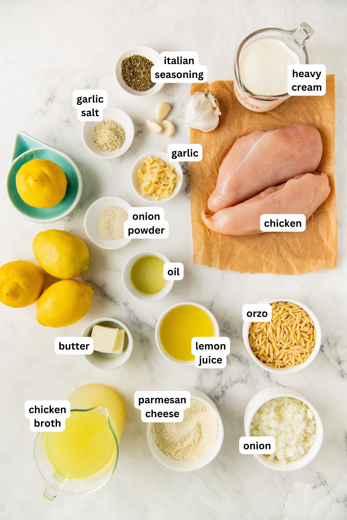 Top-down view of labeled ingredients for a lemon chicken orzo recipe, including chicken breasts, heavy cream, garlic, Italian seasoning, garlic salt, onion powder, oil, butter, lemons, lemon juice, orzo, onion, chicken broth, and parmesan cheese.
