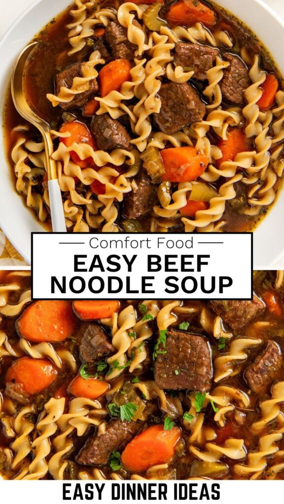 A bowl of beef noodle soup with egg noodles and chunks of beef and carrots.