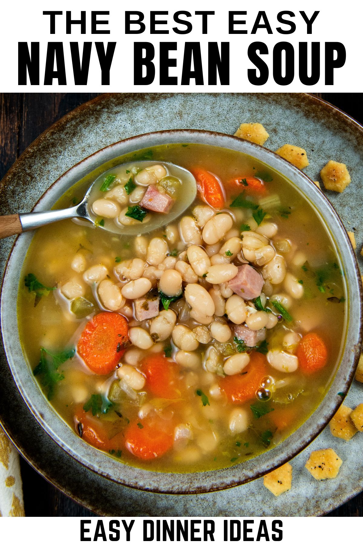 A bowl of navy bean soup with ham, carrots, celery, and parsley, served with oyster crackers on a rustic plate.