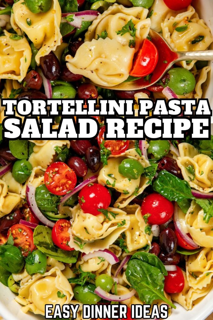 A close-up of a cheese tortellini pasta salad with cherry tomatoes, spinach, olives, red onions, and herbs.