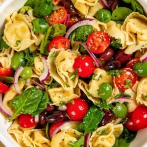 A bowl of cheese tortellini pasta salad with cherry tomatoes, spinach, olives, red onion slices, and fresh herbs, tossed in a light vinaigrette.