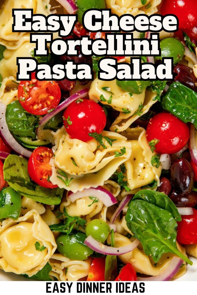 A close-up of cheese tortellini pasta salad with spinach, cherry tomatoes, red onion, black olives, and parsley.