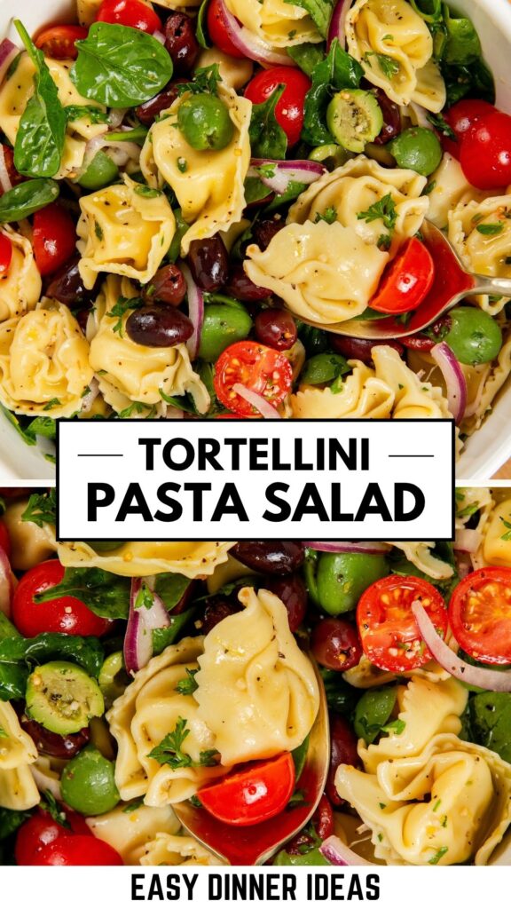 A close-up of an easy tortellini pasta salad with spinach, cherry tomatoes, olives, red onions, and fresh herbs.