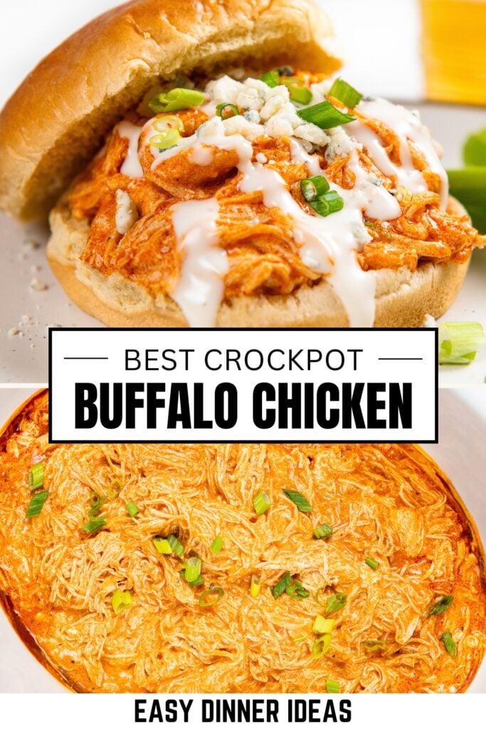 A buffalo chicken sandwich topped with blue cheese, ranch, and green onions, plus a dish of shredded buffalo chicken.